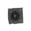 Paisley-bandana