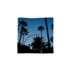 Purple X Blue Sky-bandana